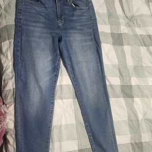 American Eagle Outfitters Blue Skinny Jeans